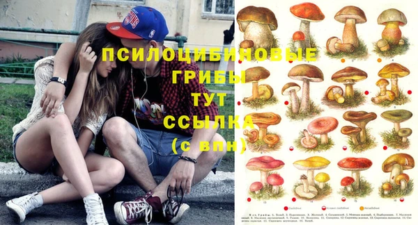 дживик Алексин