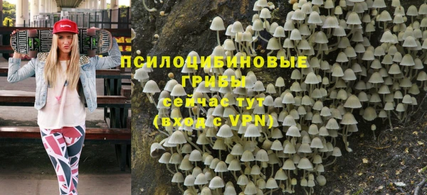 дживик Алексин