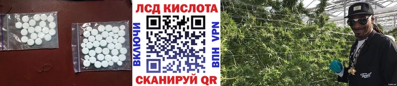 hydra зеркало  Гдов  даркнет состав  где купить наркотик  Лсд 25 экстази ecstasy 
