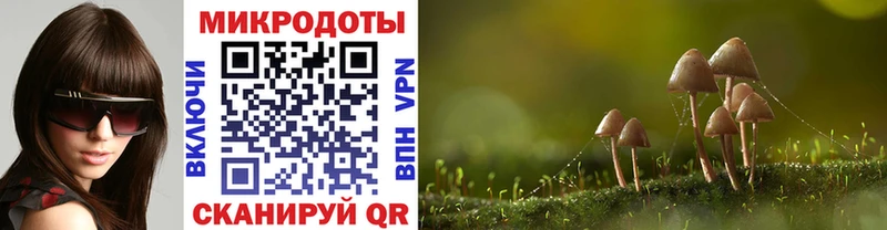 Галлюциногенные грибы мицелий  Гдов 