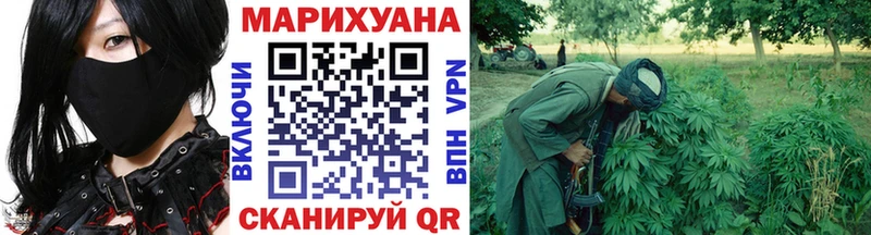 Каннабис семена  магазин    Гдов 